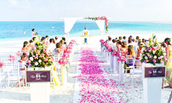 destination_wedding